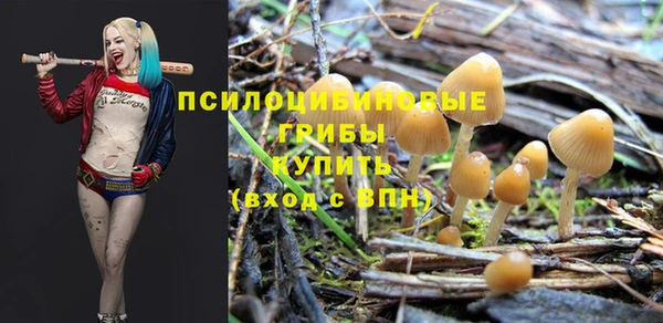бутират Краснотурьинск
