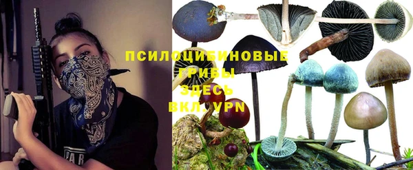 бутират Краснотурьинск