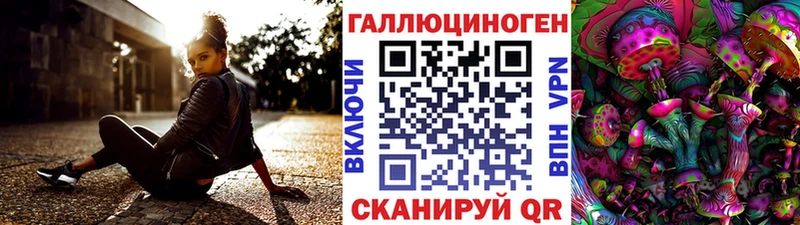 Галлюциногенные грибы MAGIC MUSHROOMS  где можно купить   Катав-Ивановск 